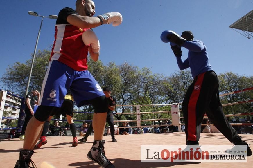 Fiesta del Deporte de Murcia (domingo)