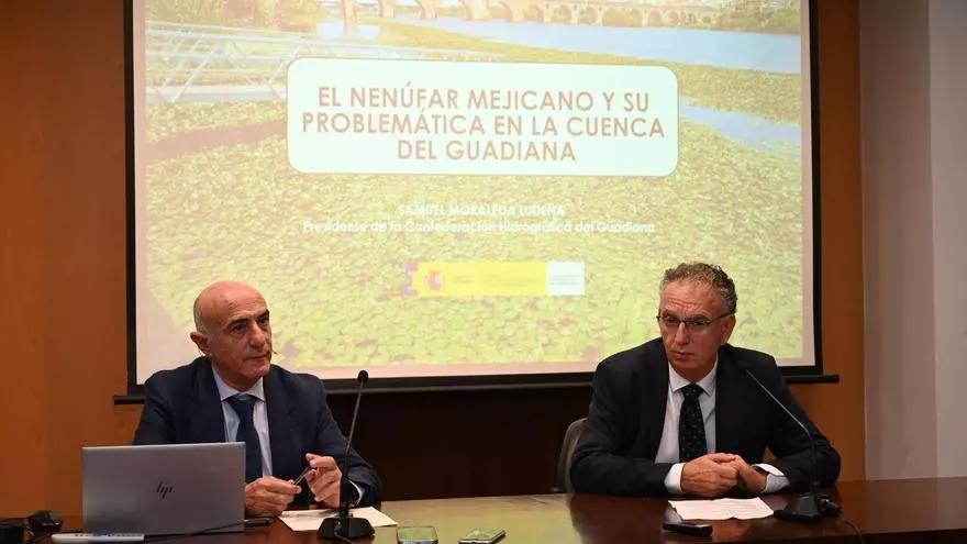La Confederación del Guadiana no seguirá adelante con el proyecto contra el nenúfar si la Junta y el Ayuntamiento de Badajoz no cooperan