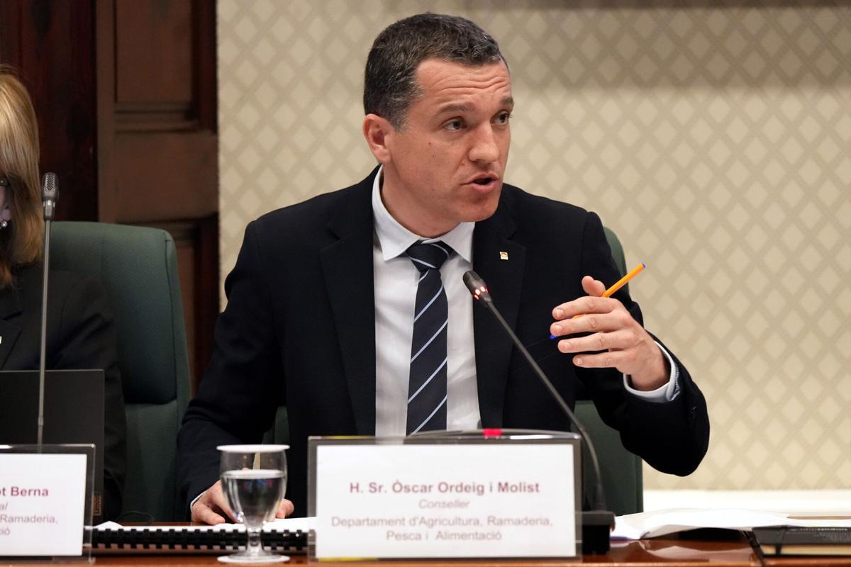 El conseller de Agricultura, Òscar Ordeig, en su comparecencia ante la Comisión de Agricultura del Parlament.