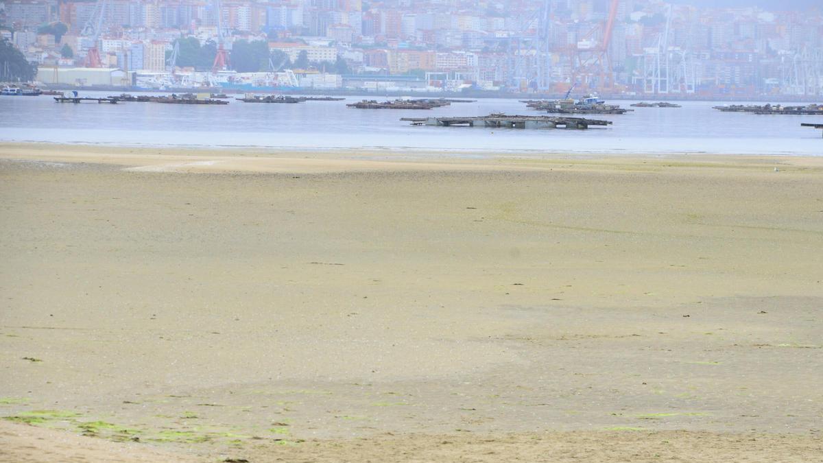 El gran banco marisquero de la playa de A Xunqueira, ayer vacío.
