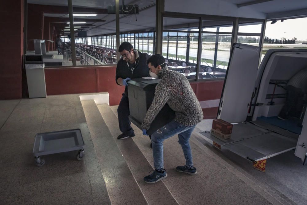 Habilitan camas en el hipódromo Son Pardo para personas sin hogar