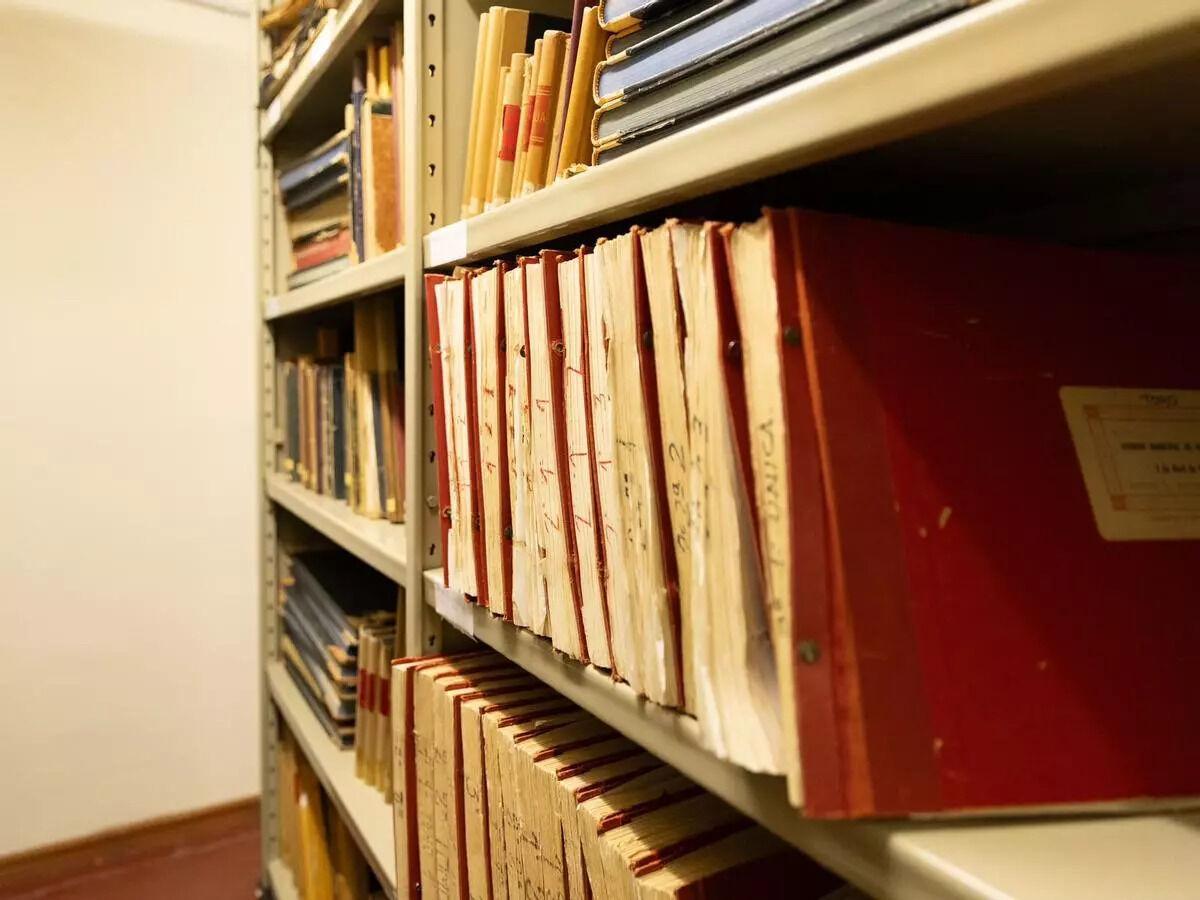 Las mejores imágenes del archivo de Toro