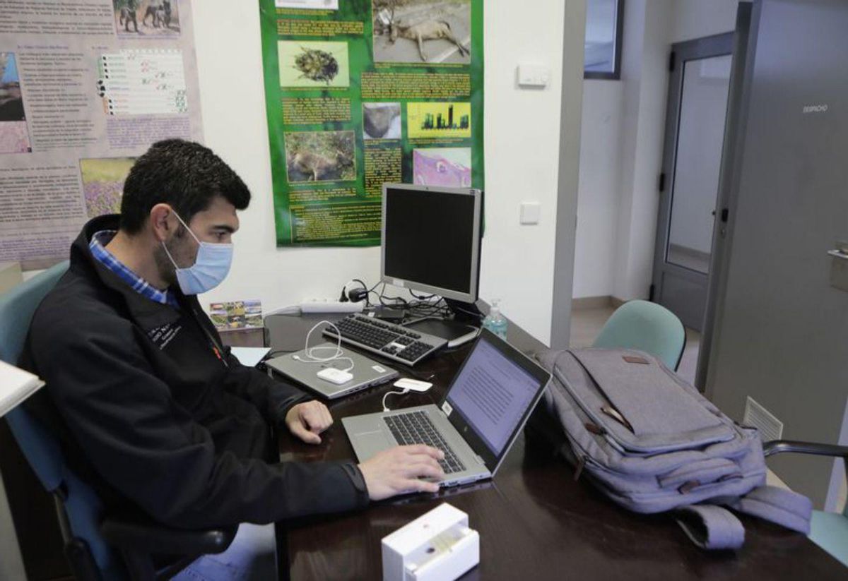 El HUCA de los animales de Asturias atendió en su primer año a 394 &quot;pacientes&quot;