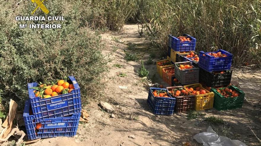 Investigan a tres personas en el Verger por un robo de 5 toneladas de naranjas