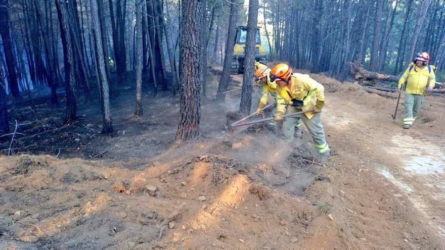 Controlado el incendio declarado en un pinar de Valverde del Fresno