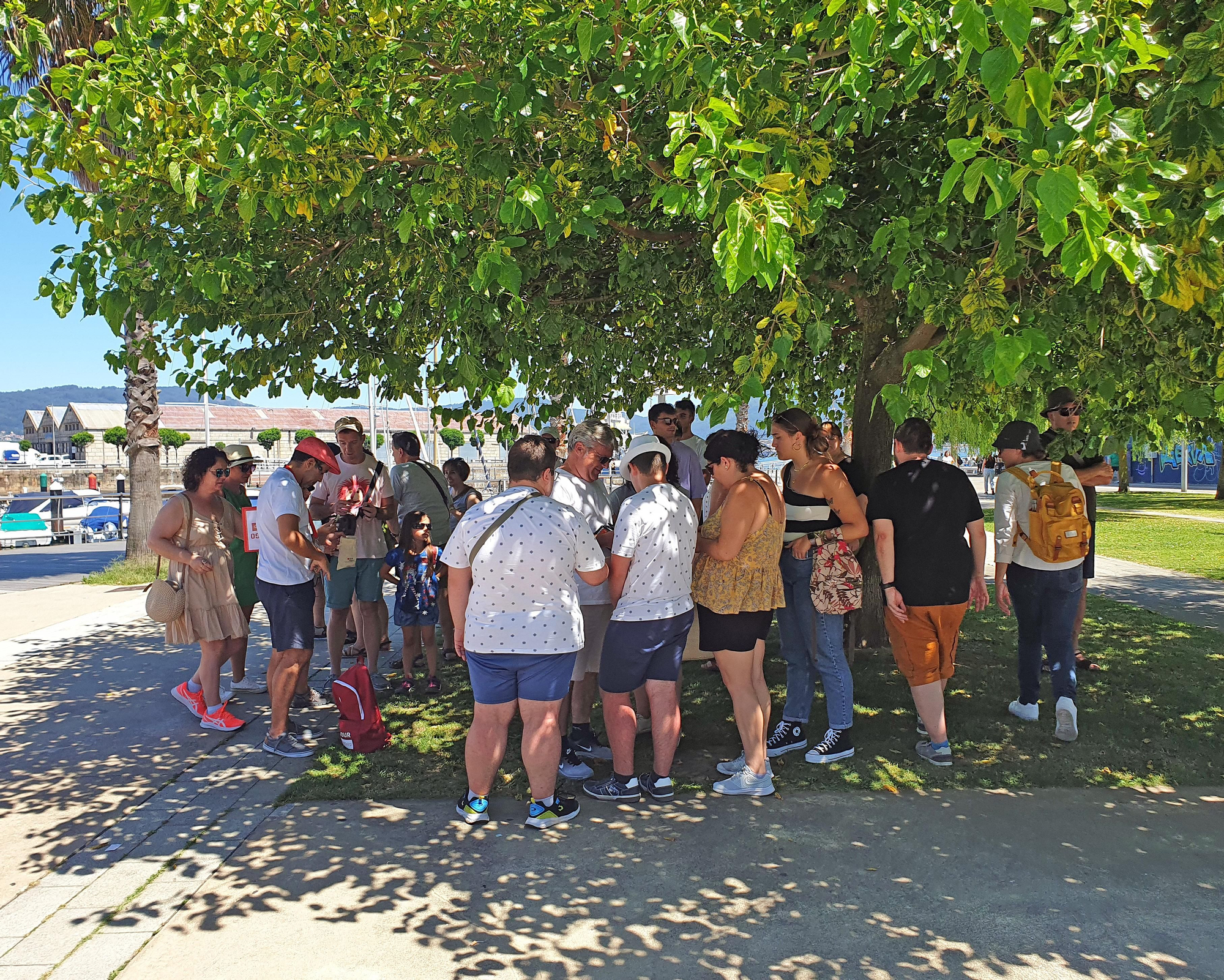 La ola de calor asoma en Vigo