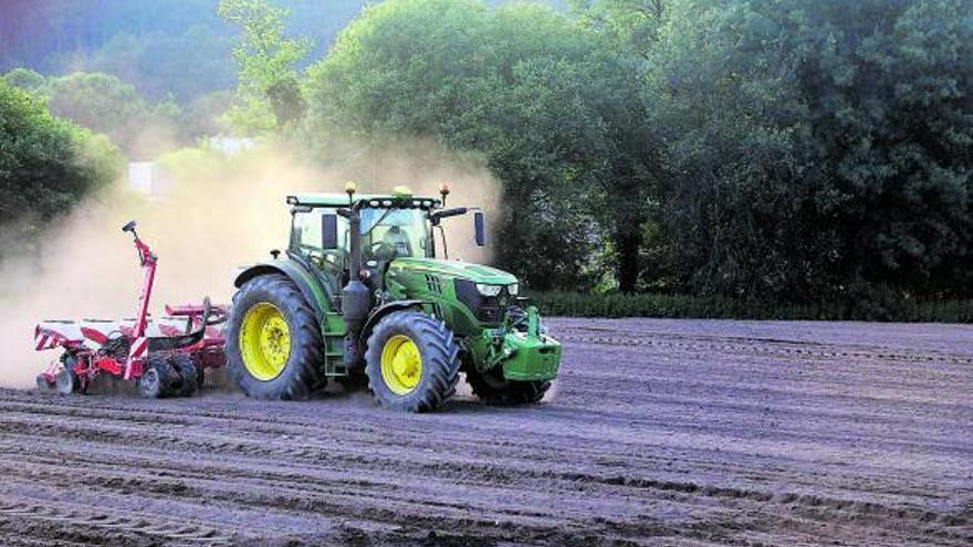 Un tractor en un campo de maíz a las afueras de Santiago. |   // XOÁN ÁLVAREZ