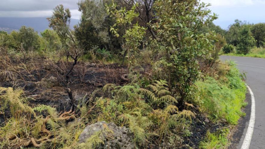 Zona afectada por el fuego en La Palma.