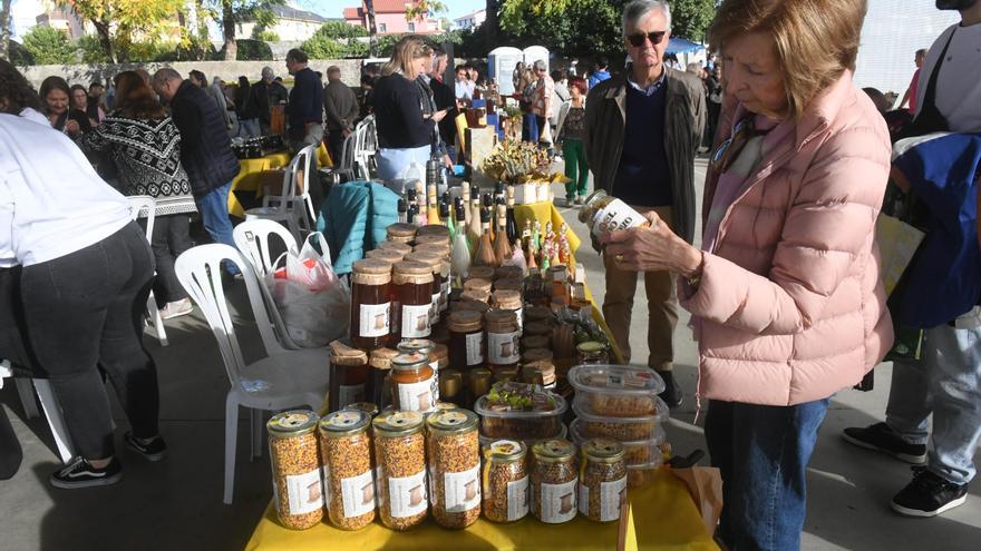 Masiva afluencia a la XXXIV Feira do Mel de Oleiros