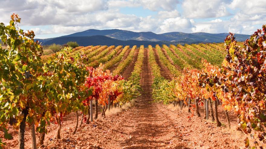 Bodegas Paniza, casi 70 años trabajando por la excelencia