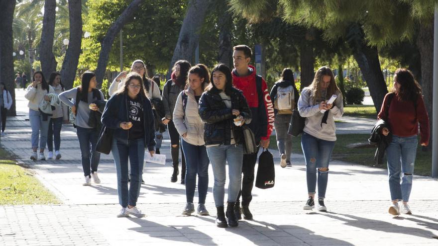 Alumnos en el campus de la UA antes del estado de alarma