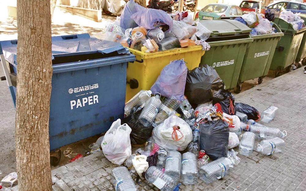 Basura desbordada en Palma