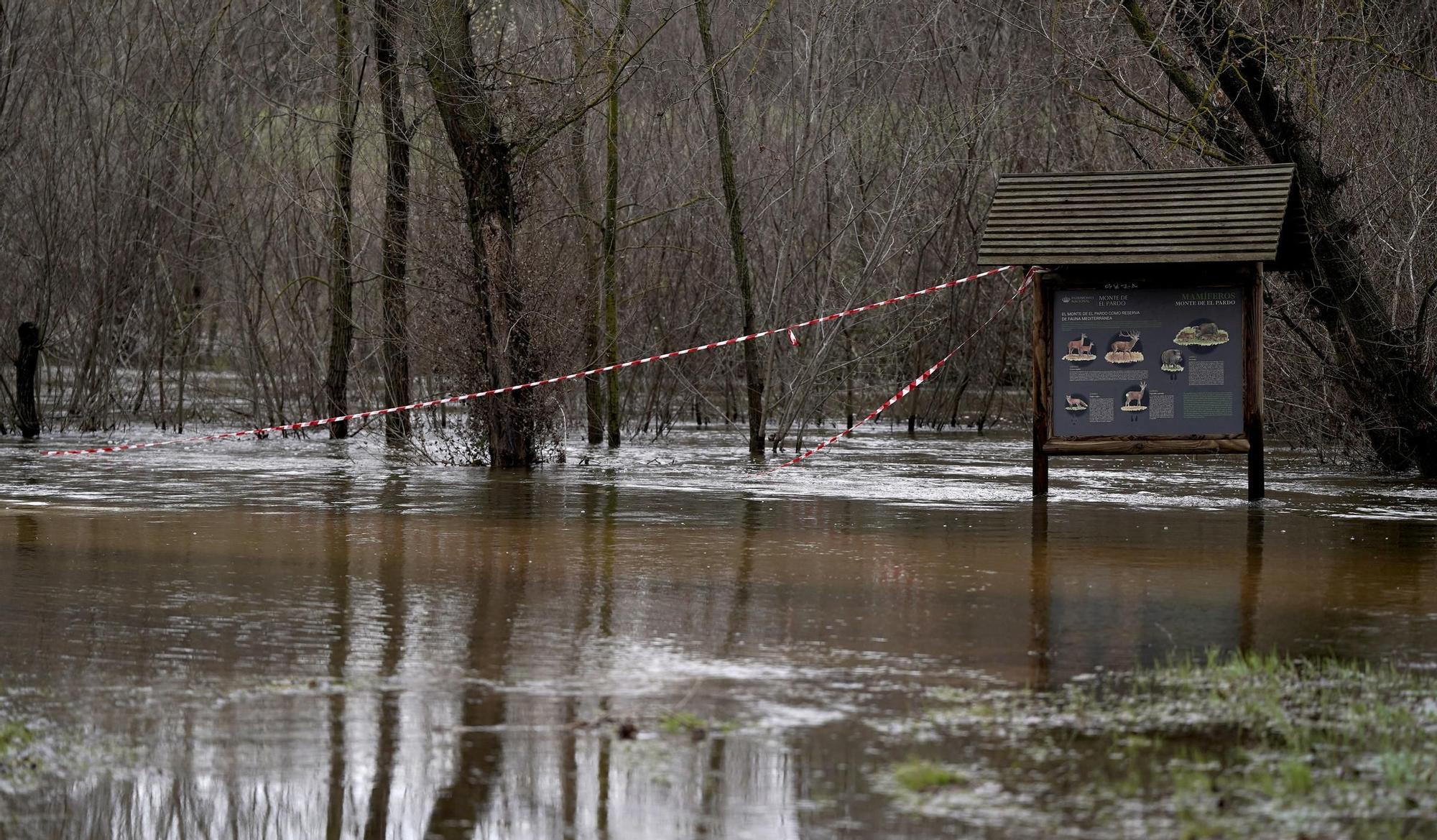 El Manzanares entra en nivel rojo por riesgo de inundaciones en Madrid.