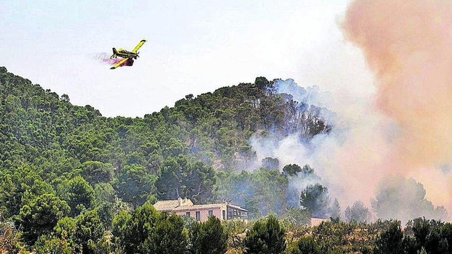 El primer incendio del  verano obliga a desalojar y calcina 120 ha de pinar