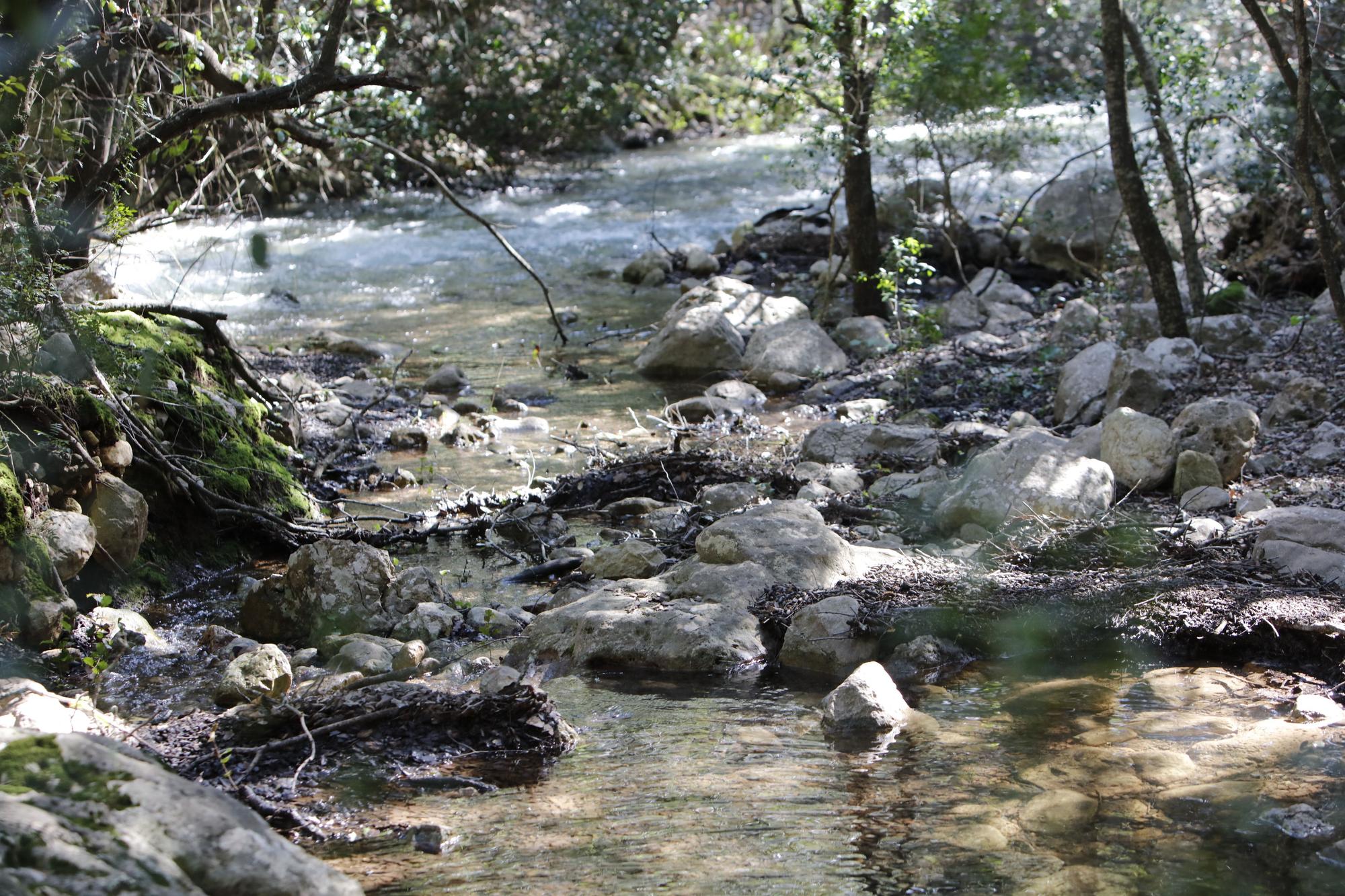 Die Quellen sprudeln wieder: Impressionen einer Wanderung zu Ses Fonts Ufanes auf Mallorca