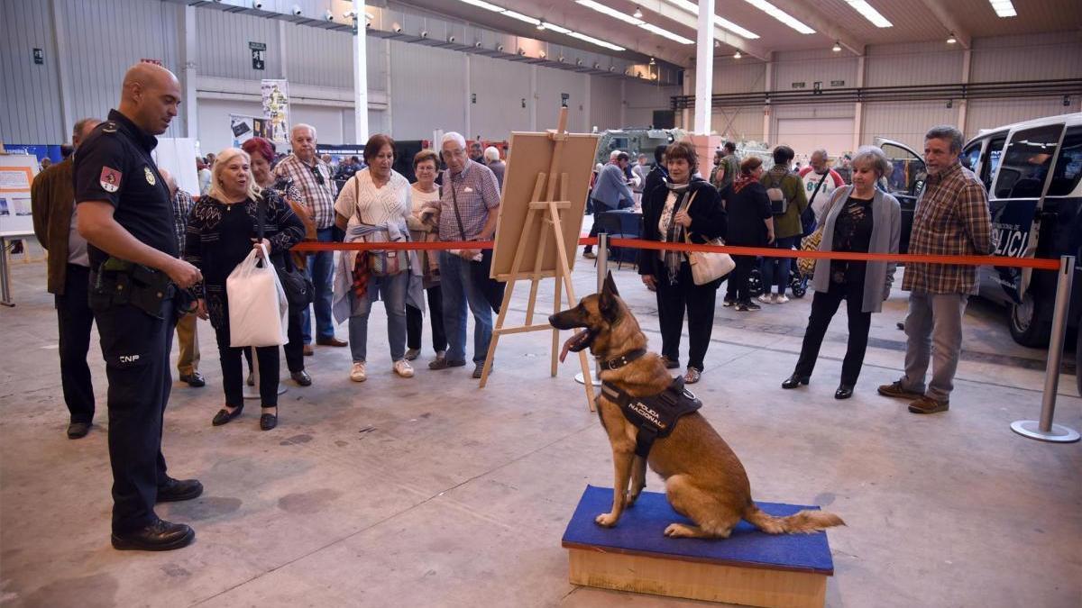 La Feria recibe 185.000 visitas en seis días