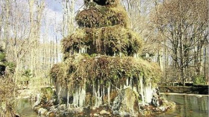 Les baixes temperatures van tornar a provocar importants gelades, com a la font de la Devesa.