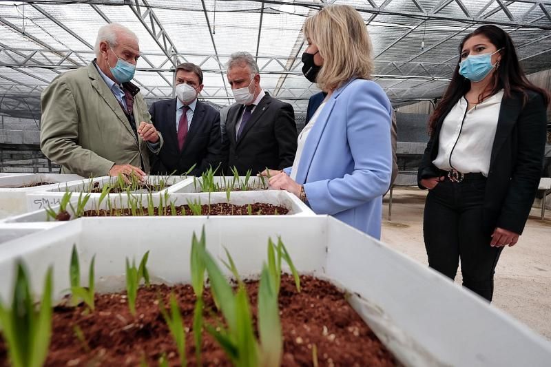 Visita del ministro de Agricultura, Luis Planas