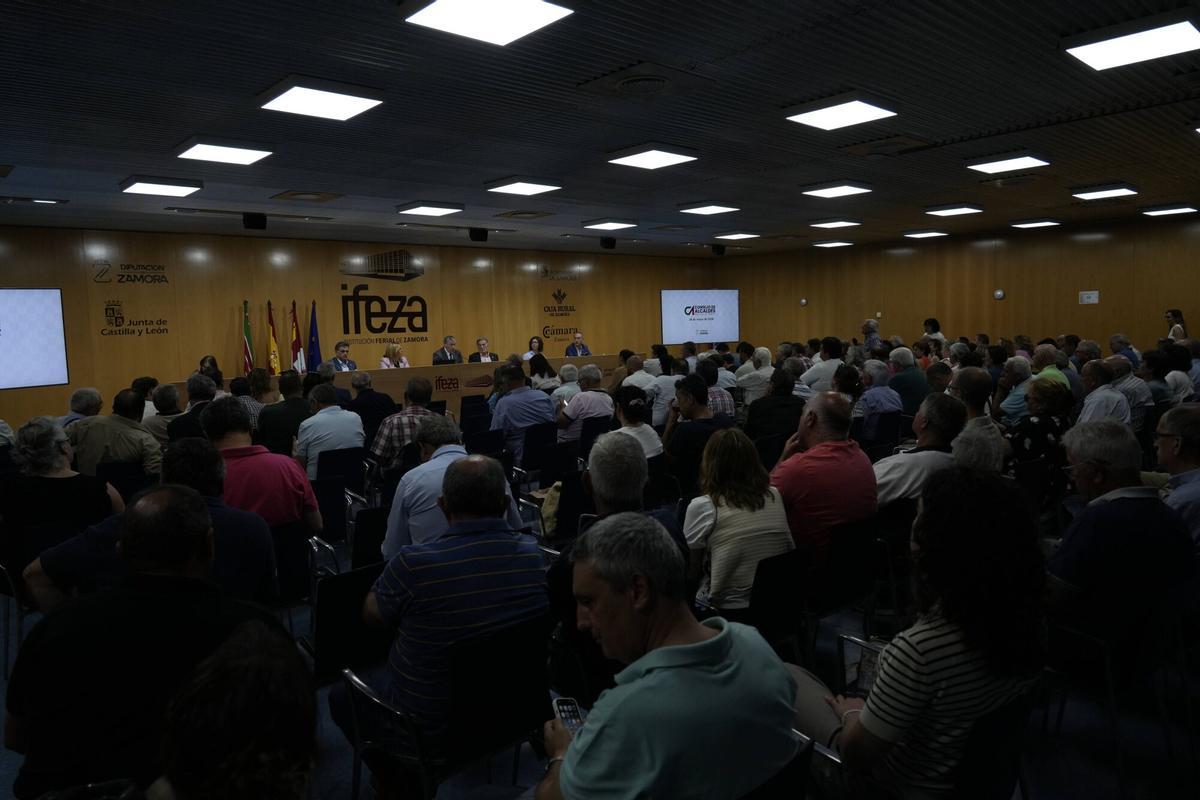 REUNIÓN DEL CONSEJO DE ALCALDES DE ZAMORA