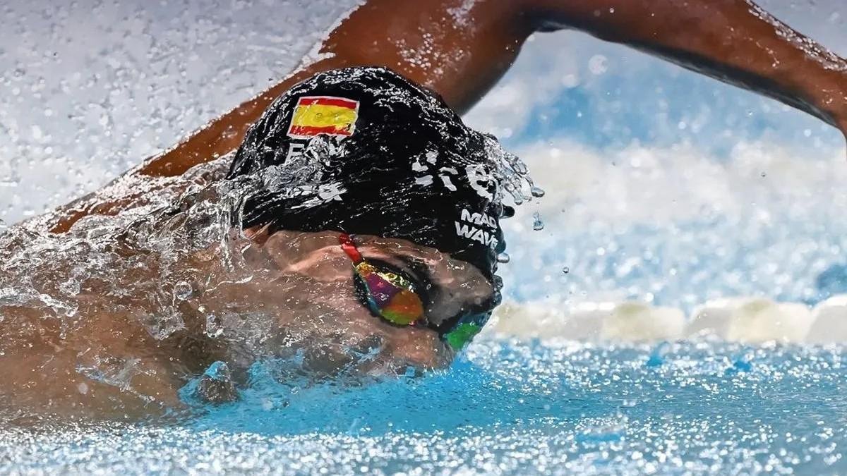 Luca hoek, en competición