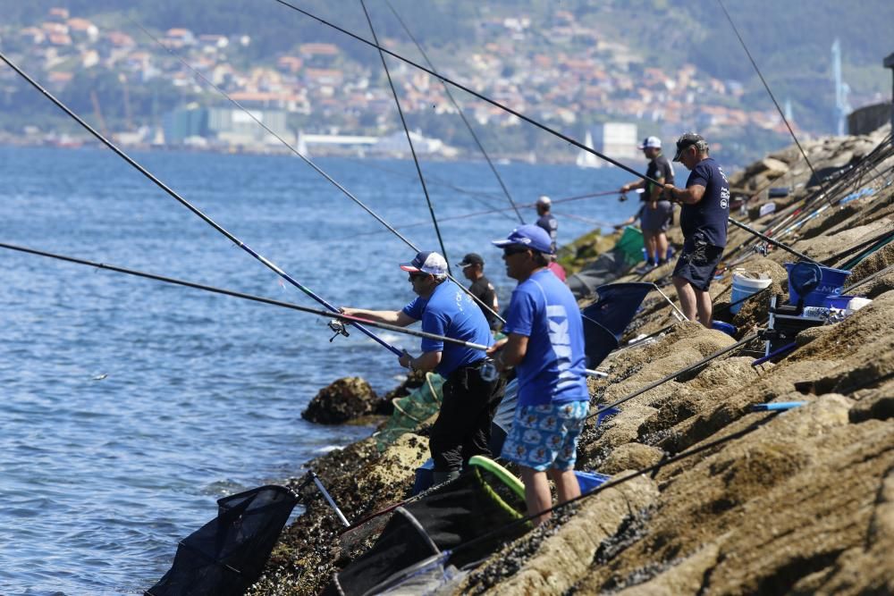 Los pescadores de caña baten récords de capturas en Vigo