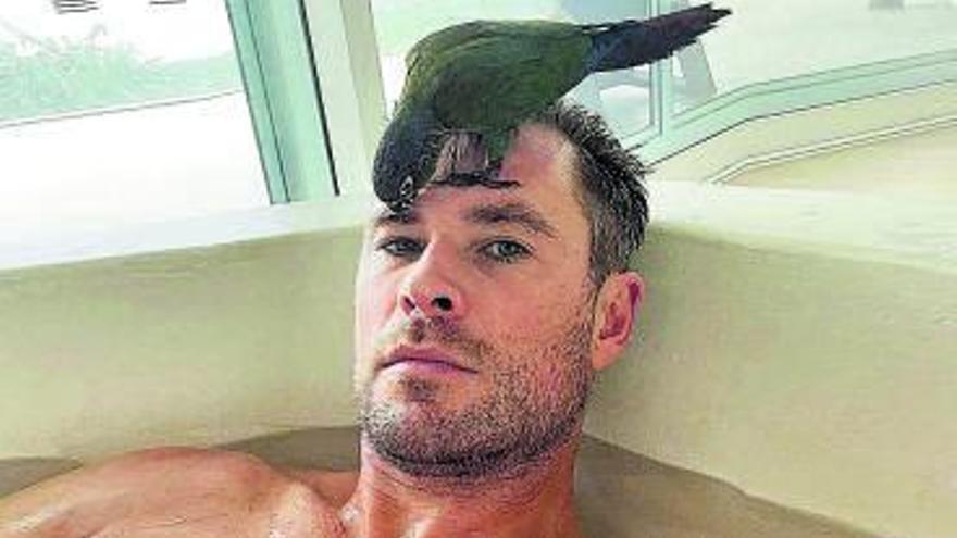 Chris Hemsworth, con un lorito en la bañera.    | // INSTAGRAM