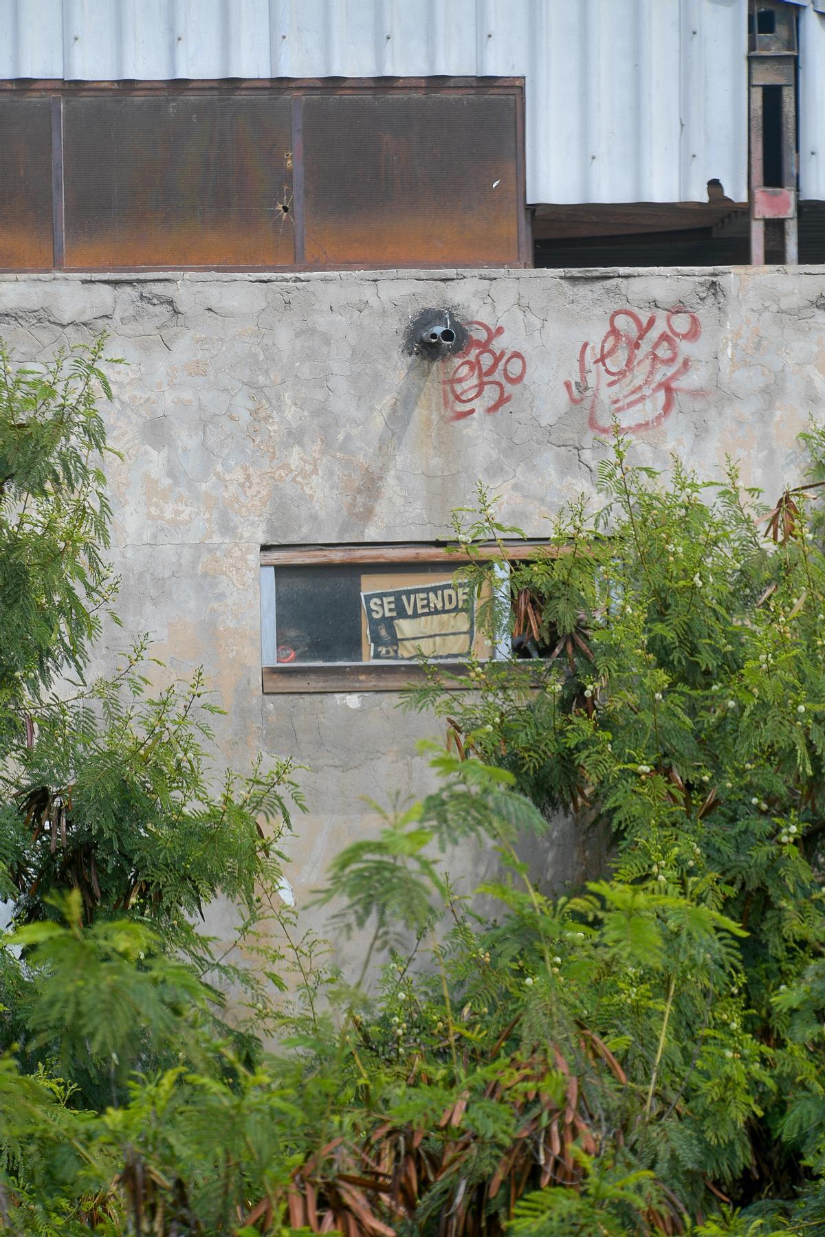 Canódromo de Playa del Inglés
