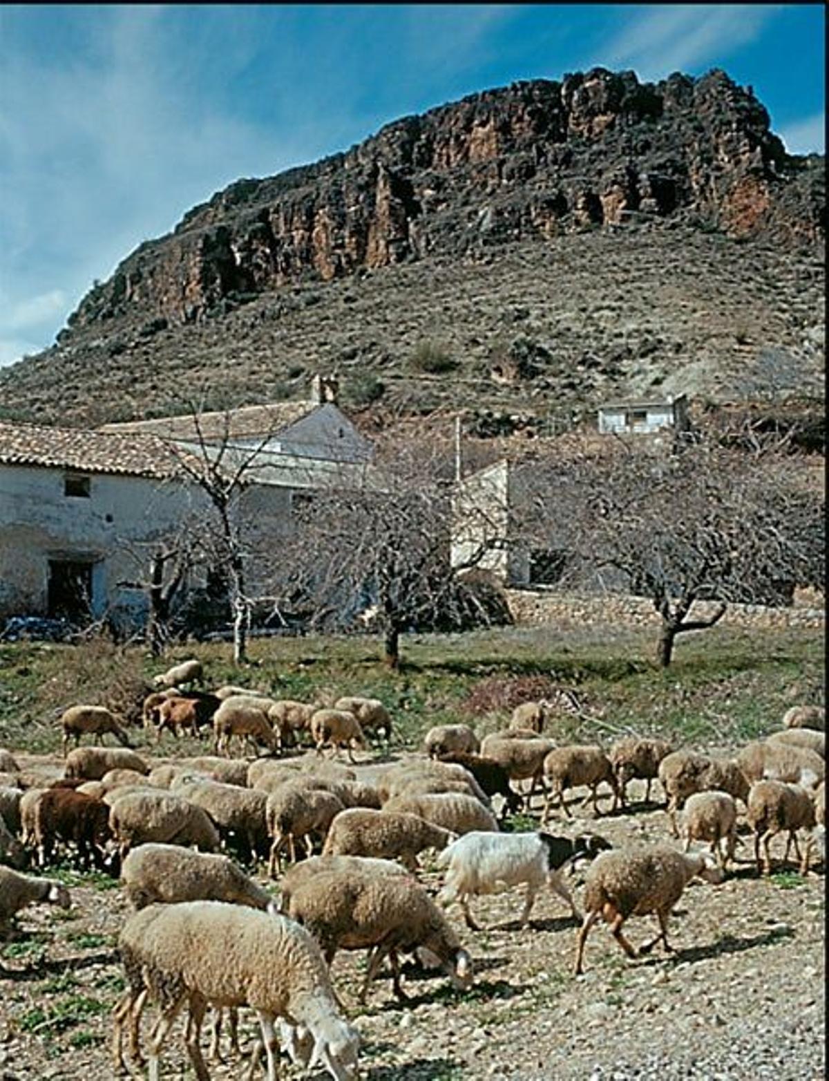 Aragón y sus hoteles