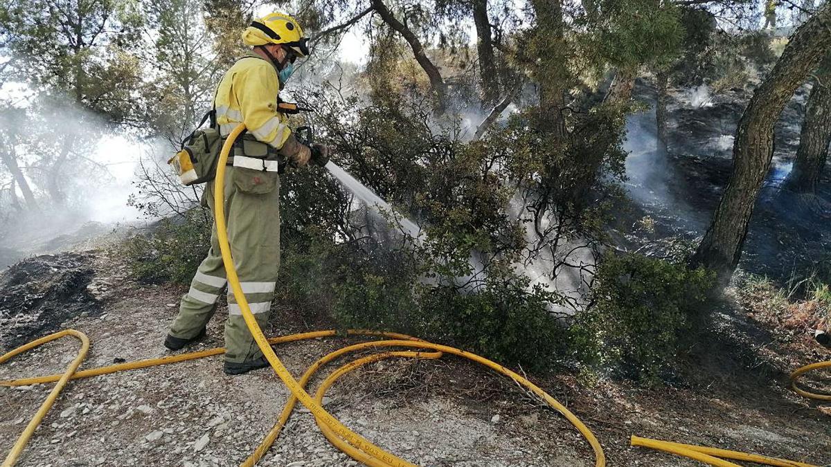 Bomberos sofocaron esta semana un conato de incendio forestal en la localidad de Jumilla.