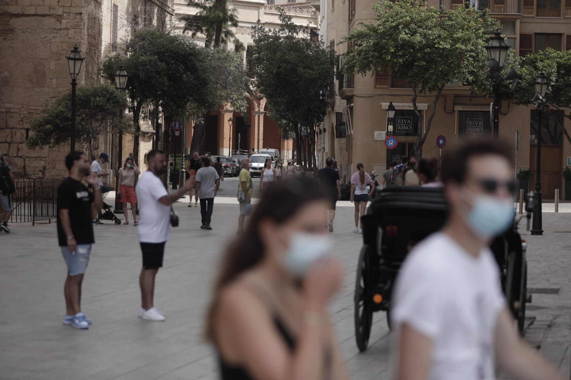 Vuelven los cruceristas a Palma