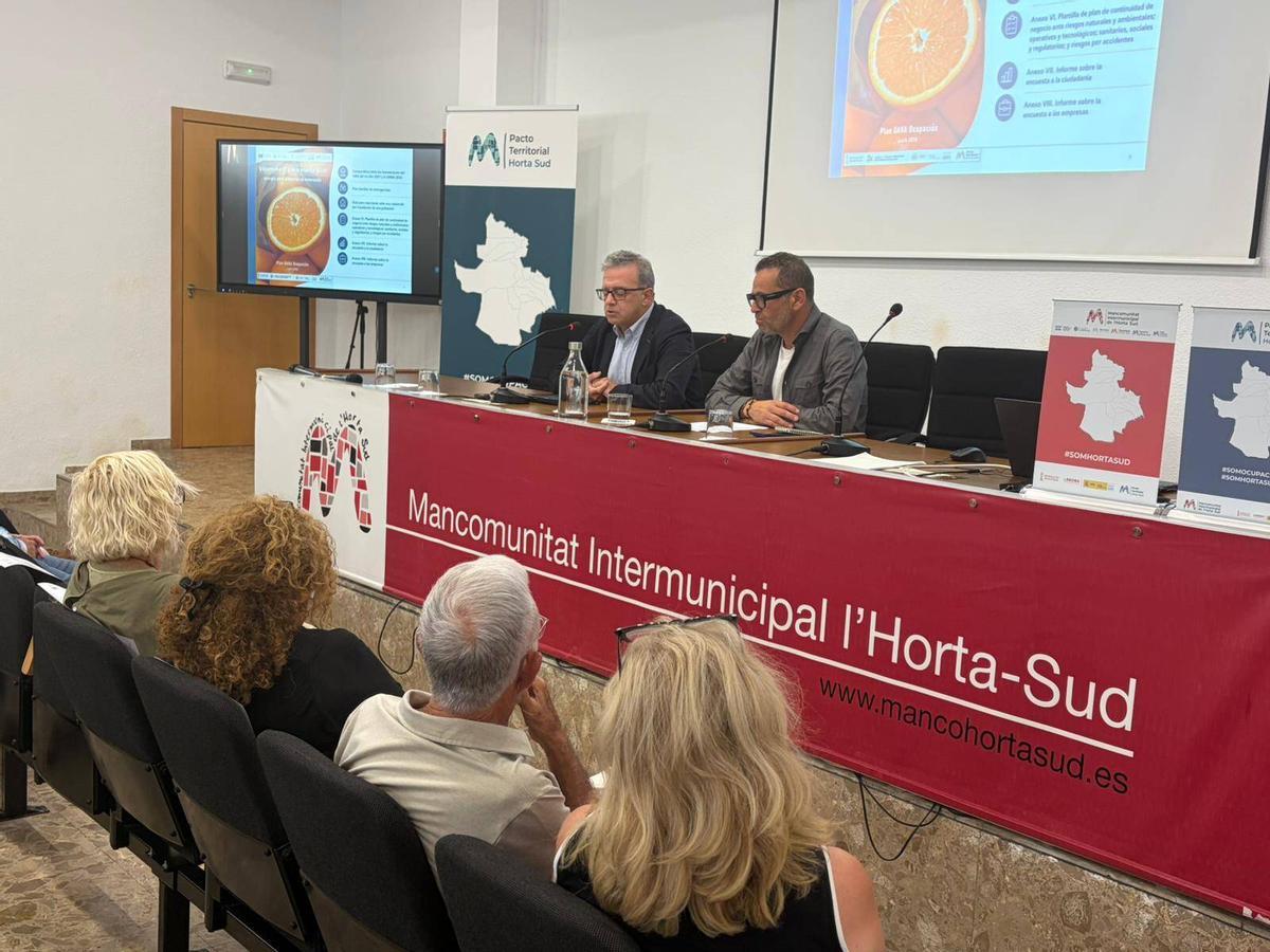 Mancomunitat l'Horta Sud Pacte per l'Ocupació