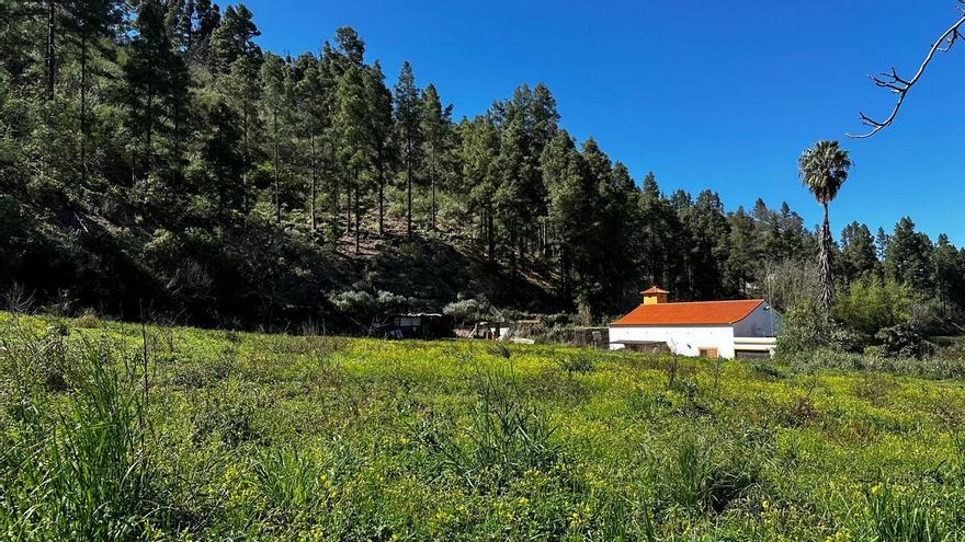 ¿Qué tiempo hará este sábado en Canarias?