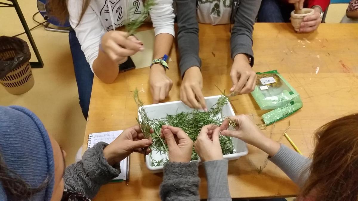 La Comunidad de Madrid organiza más de 200 actividades medioambientales gratuitas este verano para descubrir y conservar la biodiversidad.