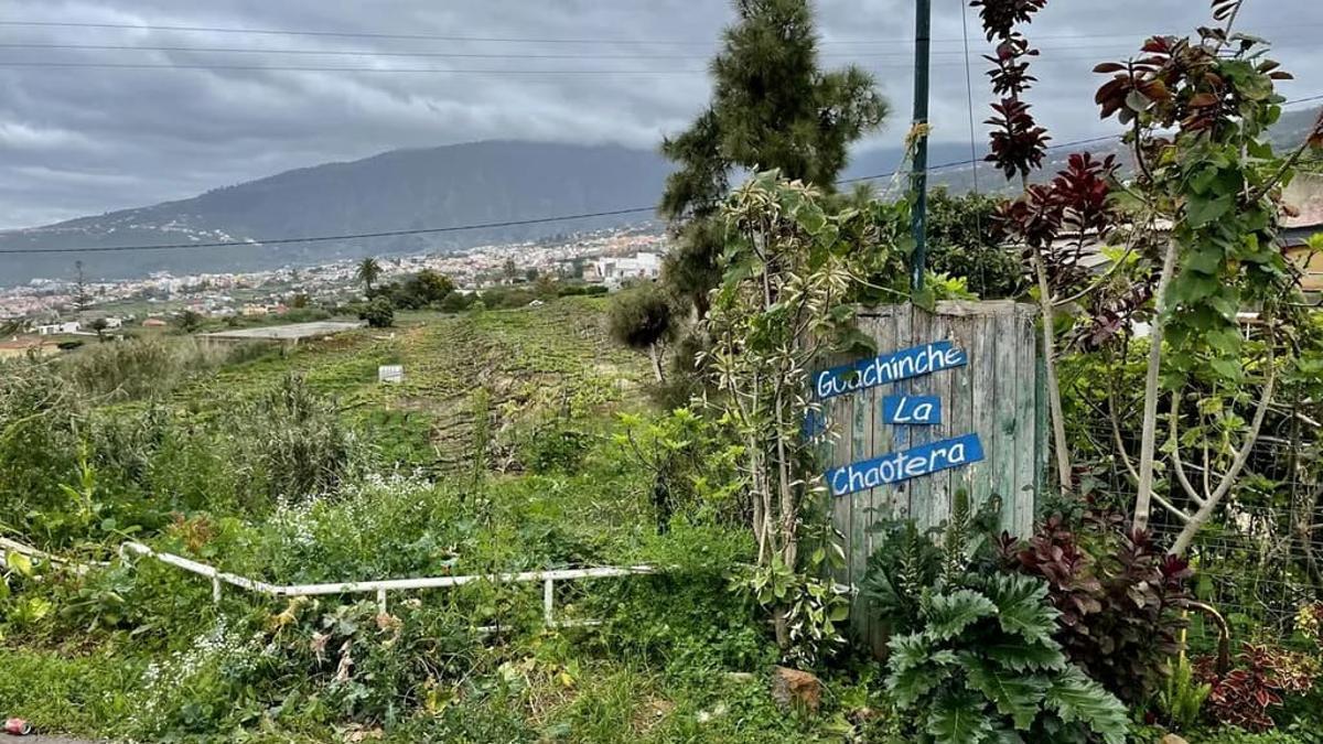 Guachinche La Chaotera.