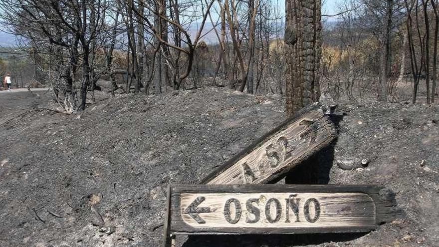 Extinguido el fuego de Vilamaior tras calcinar 907 hectáreas de arbolado y 465 de monte raso