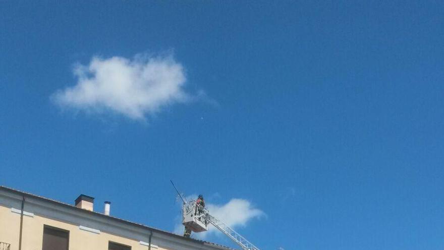 Los Bomberos retiran una antena en la Plaza Mayor de Zamora