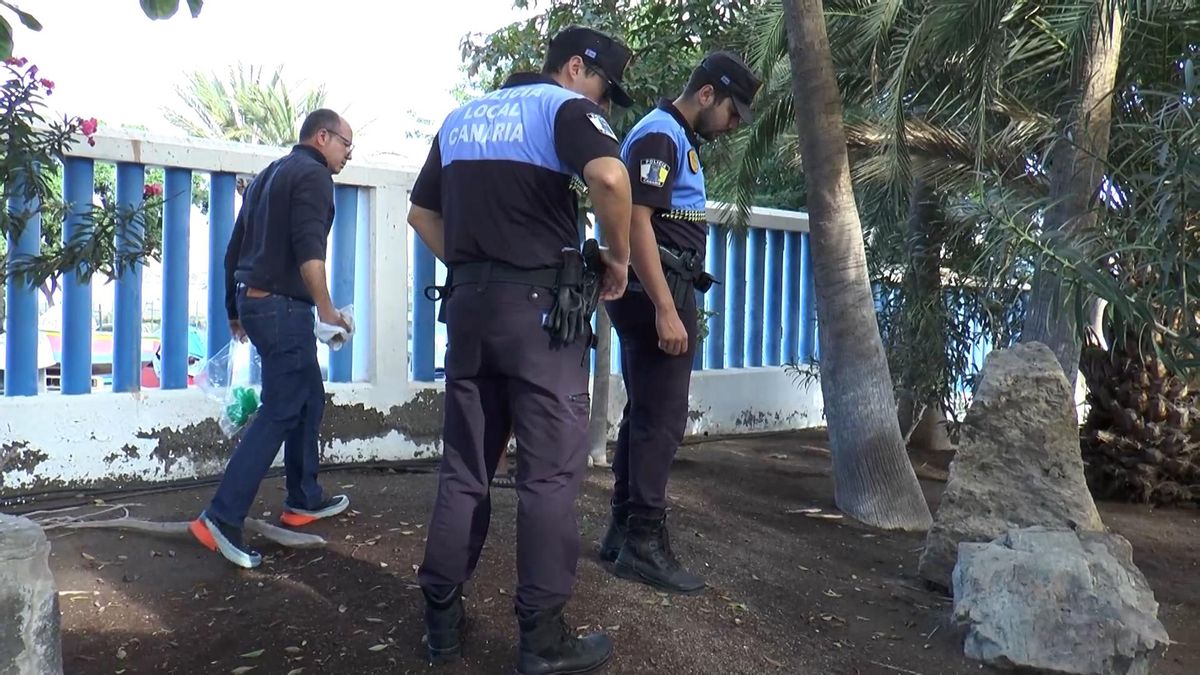 El concejal y agentes de la Policía Local revisan unos parterres.