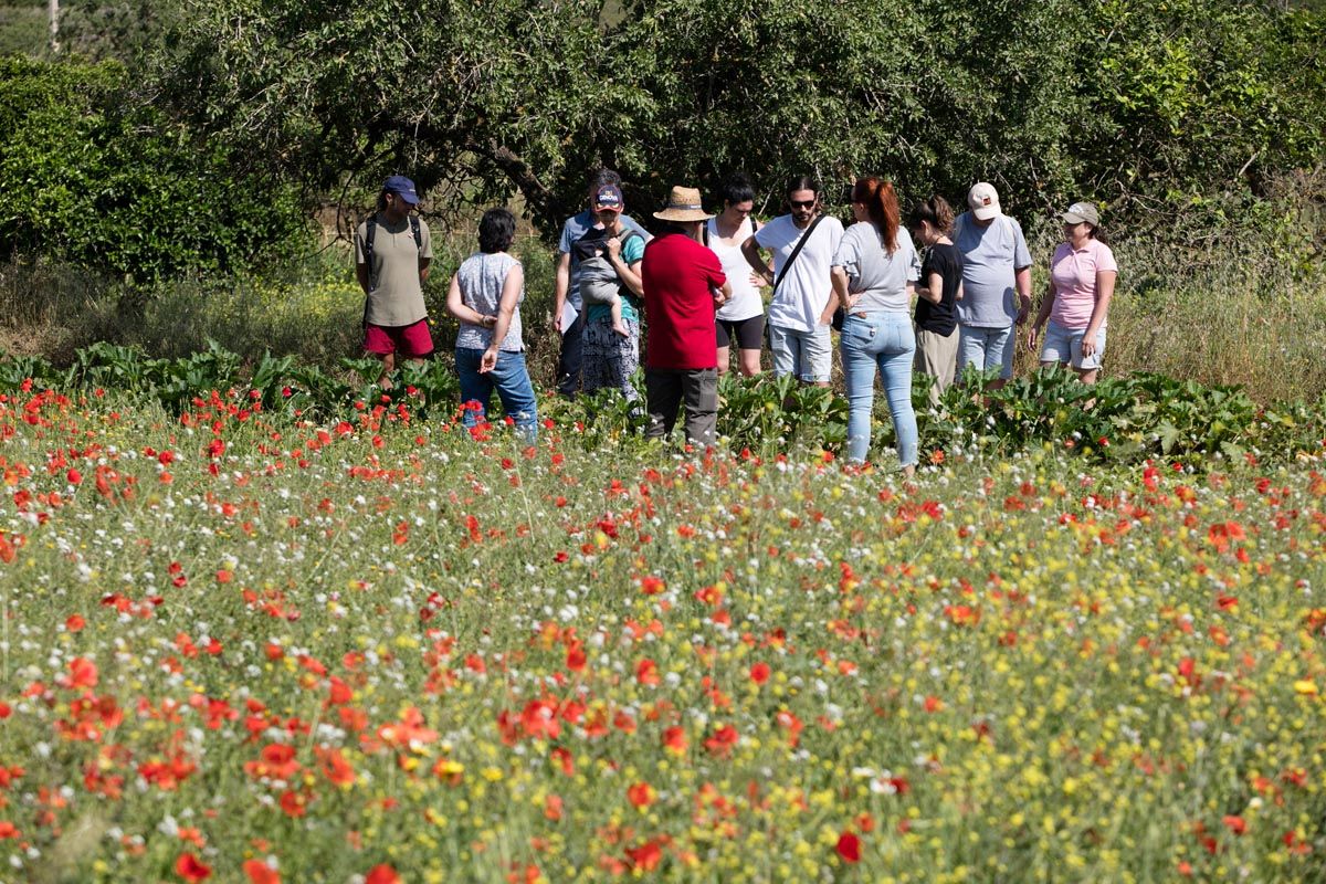 Finca ecológica Tierra de Ibiza