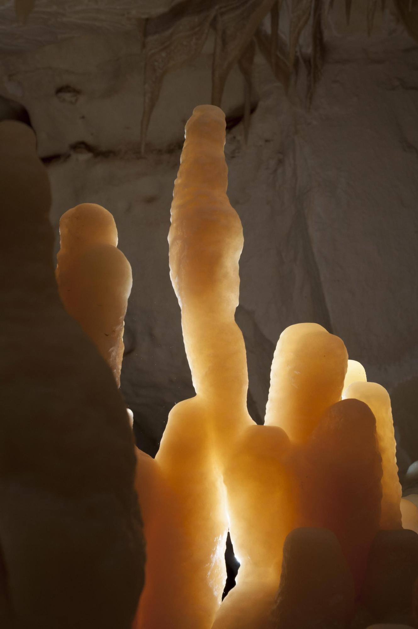 La cueva del Pas de Vallgornera, la 'Catedral' subterránea de Mallorca, en imágenes