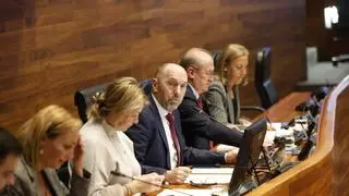 La crispación en el parlamento asturiano provoca un bronco debate: "Respeten esta Cámara; den ejemplo, que nos están viendo"