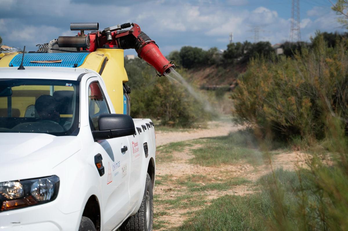 Almassora refuerza el servicio de control de mosquitos en el término municipal con el nuevo contrato.