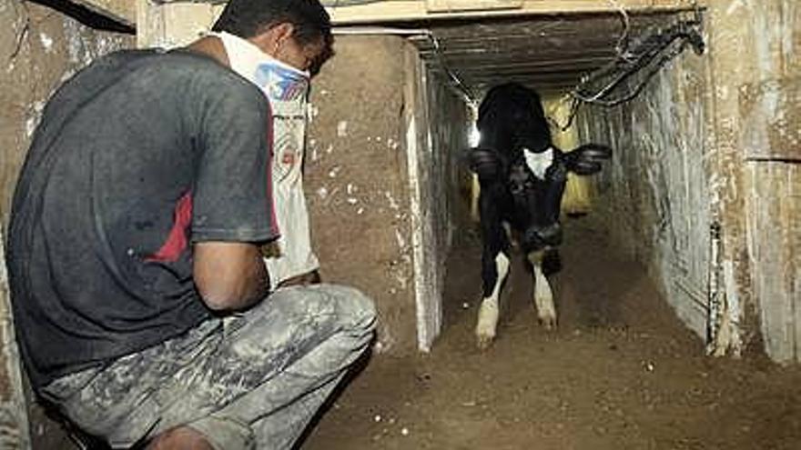 Un palestino junto a uno de los túneles que unen Gaza y Egipto.