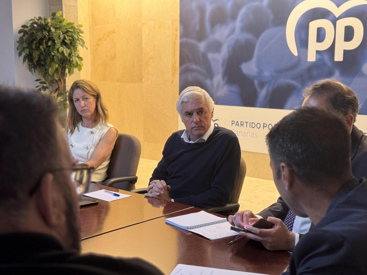 Carlos Sánchez, nuevo líder del PP de Gran Canaria.