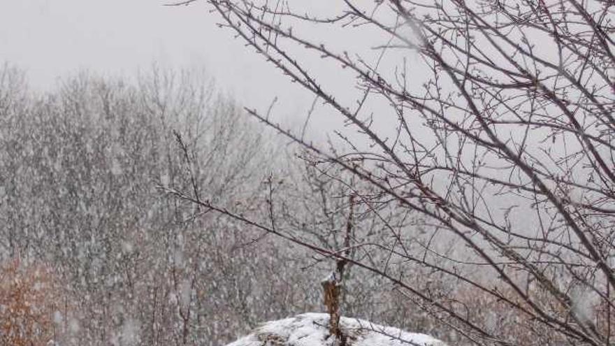 Un mediero de San Martín del Terreno comienza a ser revestido por la nieve