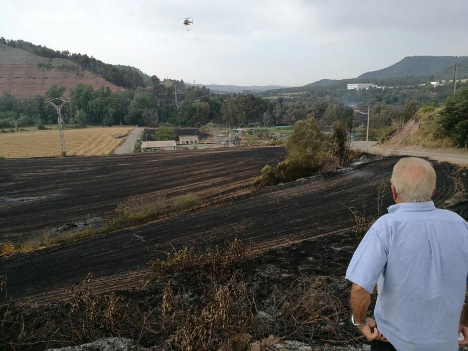 El paisatge a Avinyó, després del foc