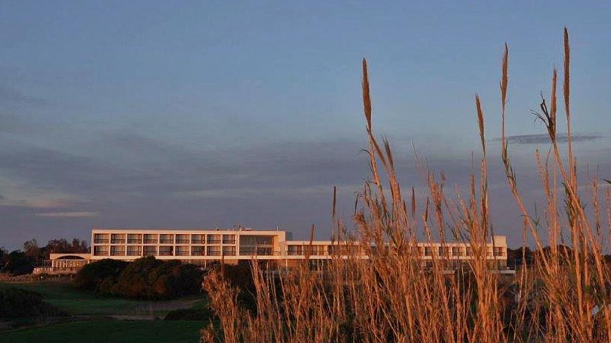 Plantació en ple cordó dunar del Saler, a la platja del parador nacional.