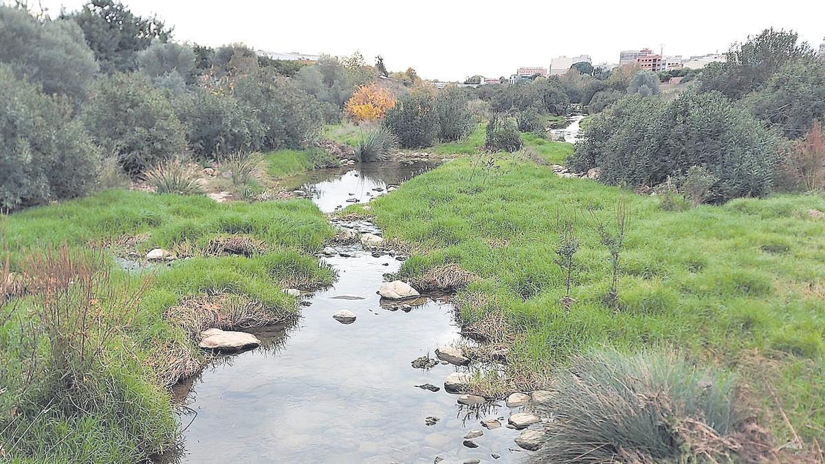 El projecte, encetat el 2021, vol posar en valor la sèquia que voreja el riu des del pantanet fins al poble.