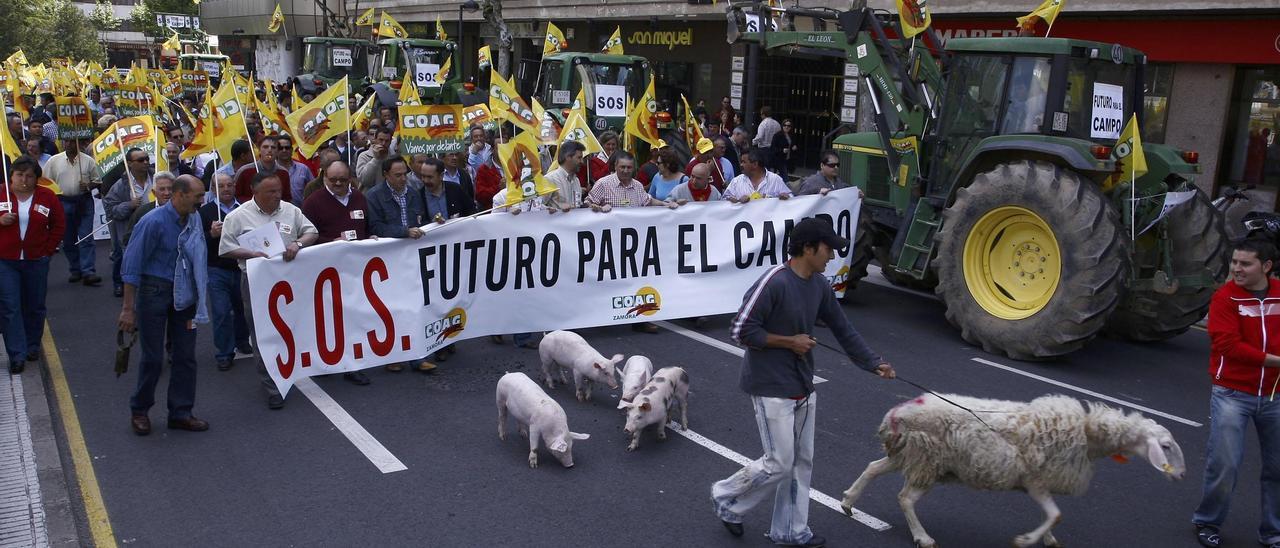 MANIFESTACION DE AGRICULTORES Y GANADEROS CONTRA LA REFORMA DE LA PAC