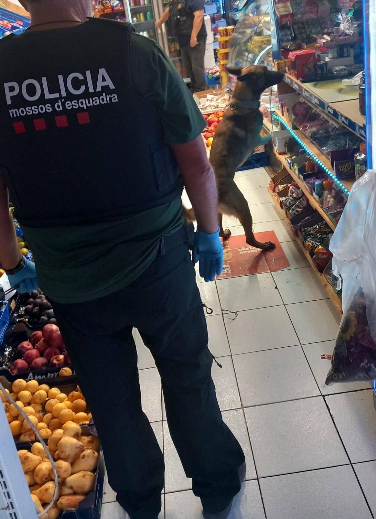 GIRONA. Operatiu Kanpai al barri de German Sàbat