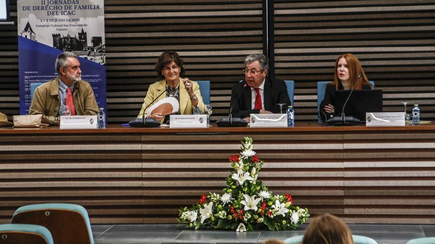 Los abogados debaten sobre Derecho de familia en Cáceres